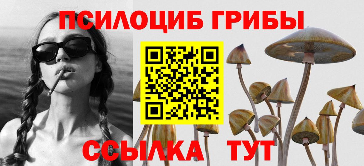 Галлюциногенные грибы ЛСД  Вход с VPN  Трёхгорный 